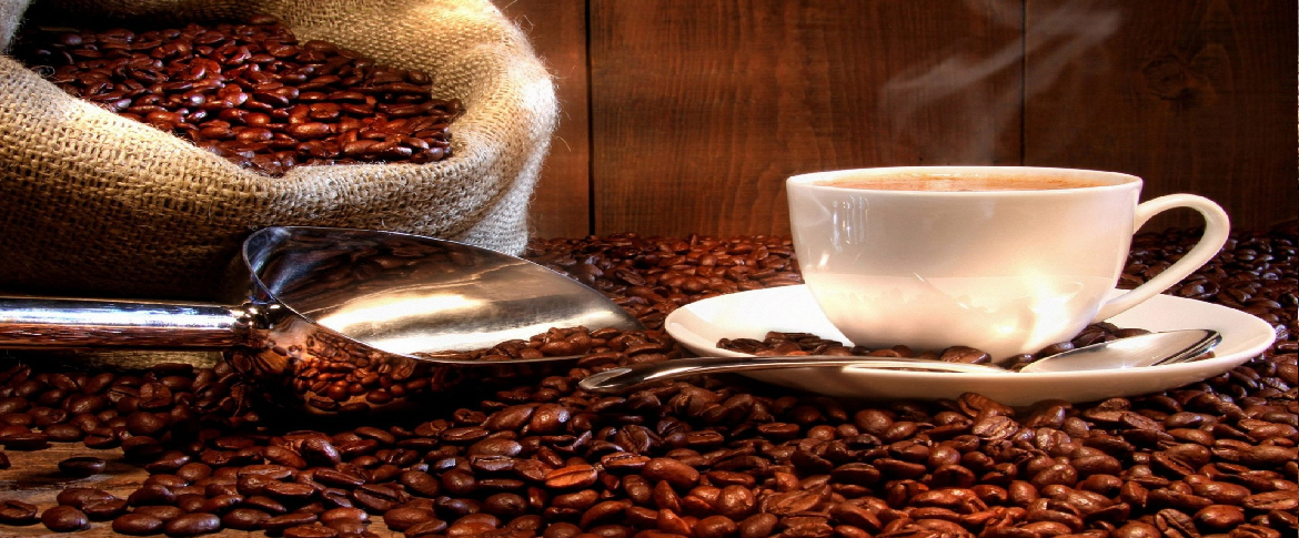 أفضل مطحنة قهوة 2023 ونصائح قبل الشراء